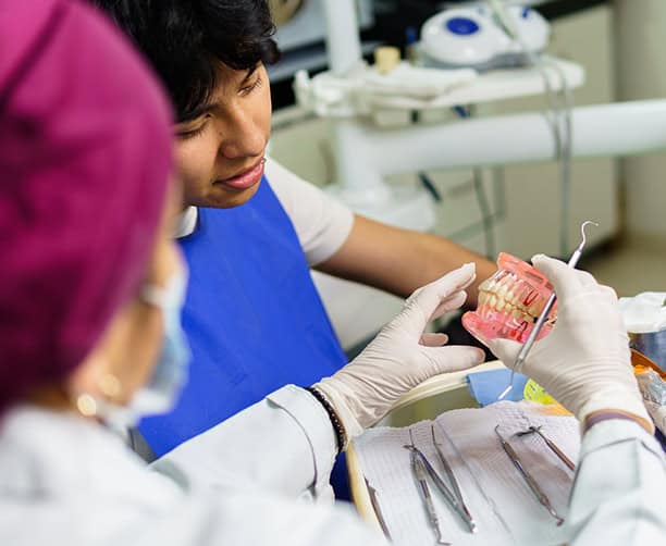 Dentist Explaining Teeth Model To Patient