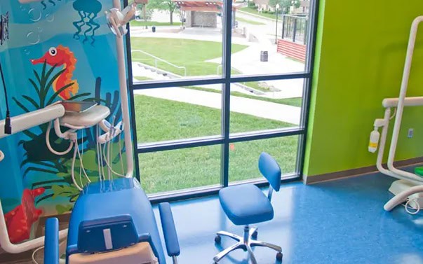 Kids Dentist Operatory Seahorse Mural Window