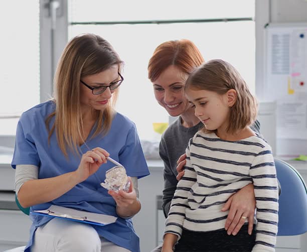 Pediatric Dentist Explaining Teeth Model To Child And Parent