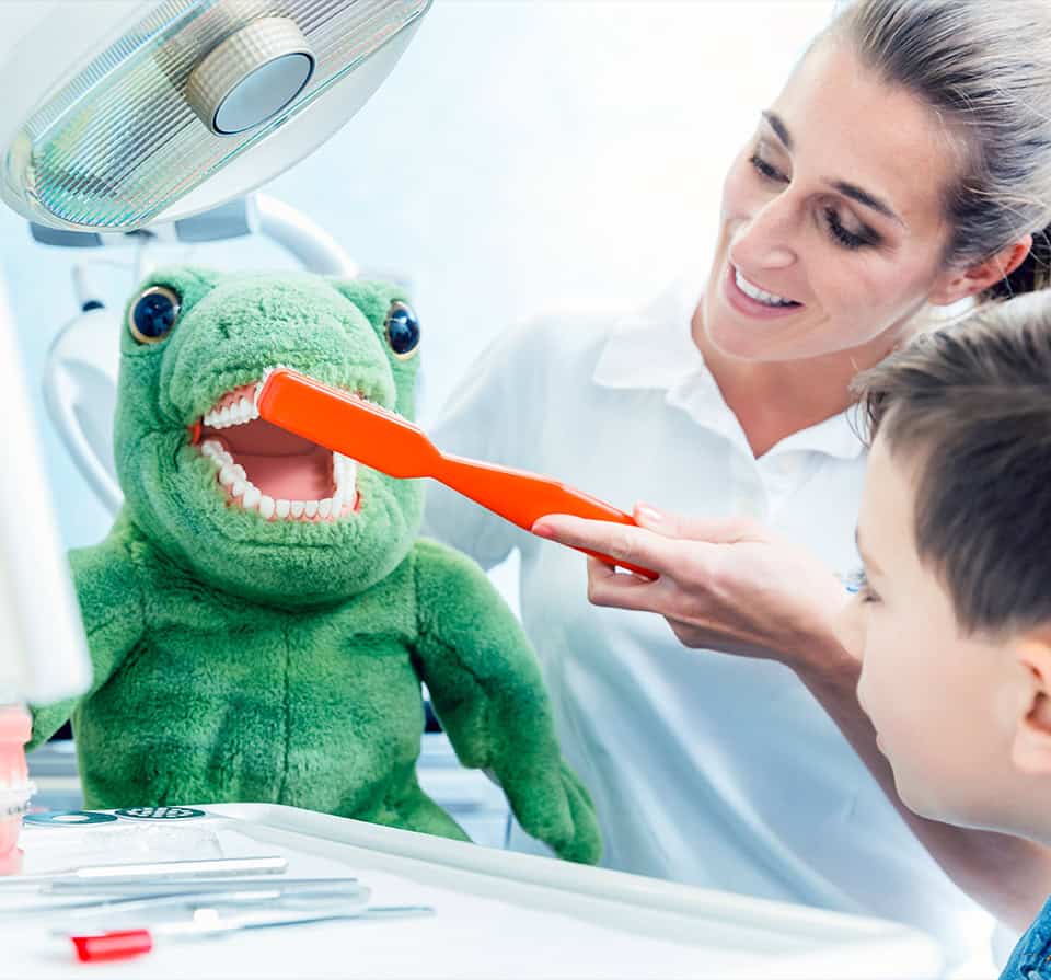 Pediatric Dentist Teaching Brushing With Dinosaur Toy