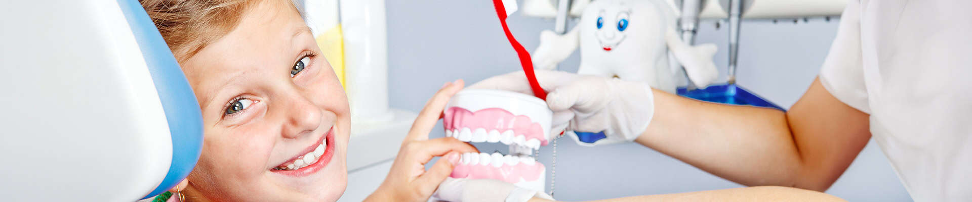 Pediatric Dentist Teaching Child Brushing Teeth Model